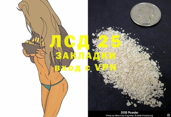 ГАЛЛЮЦИНОГЕННЫЕ ГРИБЫ Карталы