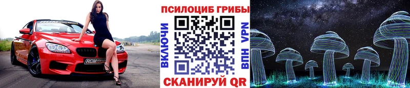 Псилоцибиновые грибы Psilocybine cubensis  Купить закладки  Медногорск 